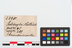 Etiketten zu Bernsteinringperle (NHMW-PRAE-023981)